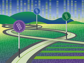 Unchartered territory in the human genome