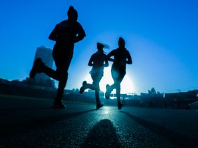 Work ability is influenced by physical fitness, social life and cognitive functions