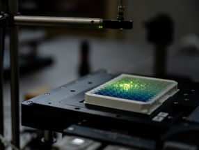 New nanosensors make diagnostic procedures more sensitive