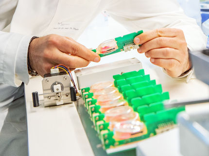 Living heart muscle slices drive RNA research into heart failure