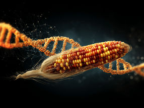 ChatGPT grows insect-toxic genetically engineered plant