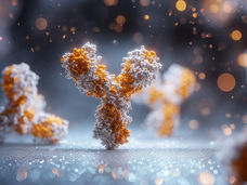 Billion-Dollar Deal for Cancer Antibody: BioNTech and Bristol Myers Squibb Join Forces