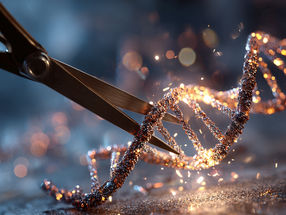 New CRISPR method leads to a better understanding of cell functions