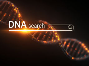 "A DNA search engine" searches through millions of data records in seconds