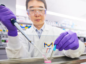 Merck Partners with Promega Corporation