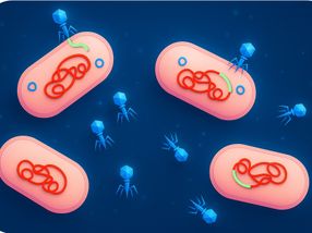 Bacteria Borrow Viruses to Spread Their Own Defences