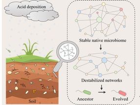 Hidden dangers in 'acid rain' soils