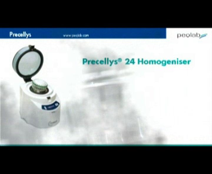 Precellys®24: Disruption and lysis of even toughest samples within seconds