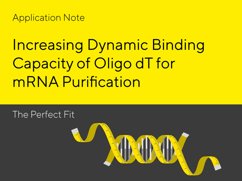 Increasing Dynamic Binding Capacity of Oligo dT for mRNA Purification - From Screening of Chromatographic Conditions to Scale-up